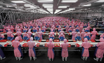 Artist Talk with Edward Burtynsky