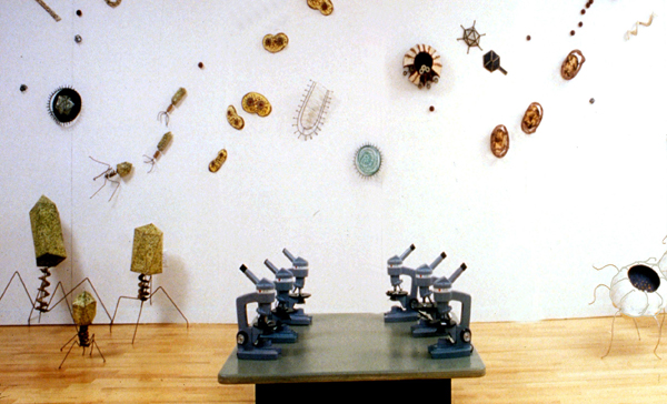 Christy Rupp <span class="title-light">Swimming in the Gene Pool</span>