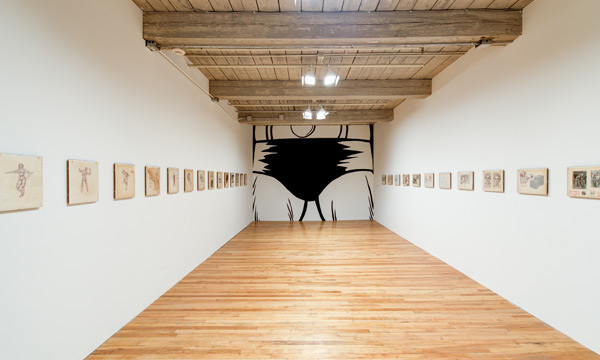 Jim Shaw<span class="title-light">Entertaining Doubts</span>