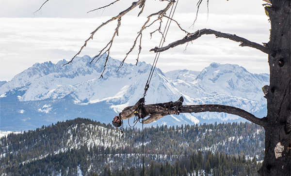 Matthew Barney: Redoubt <span class="title-light">Co-Presented with Williams College Museum of Art</span>