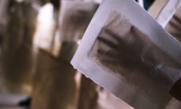 Ann Hamilton <span class="title-light">Paper Chorus</span>