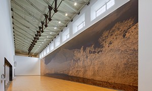 Clifford Ross <span class="title-light">Landscape Seen & Imagined</span>