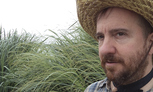 The Magnetic Fields <span class="title-light">50 Song Memoir</span>