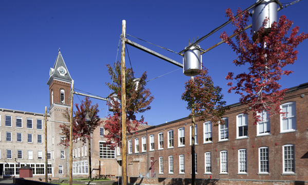 Natalie Jeremijenko: <span class="title-light">Tree Logic</span>