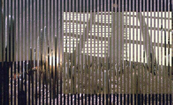 Jimena Sarno: <span class="title-light"><em>Rhapsody</em></span>