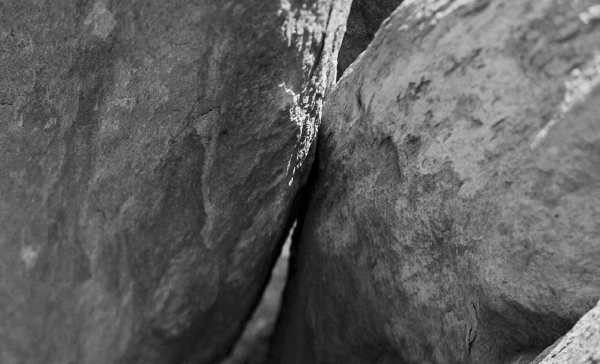 Elle Pérez: Intimacies